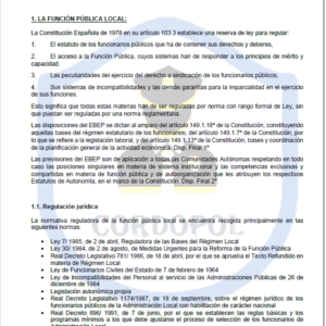 TEMA 25 INTENDENTE