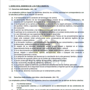 TEMA 26 INTENDENTE