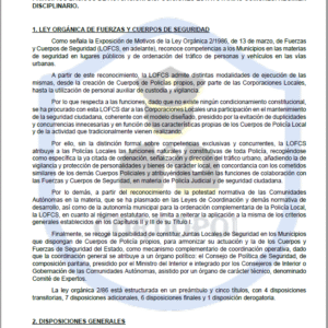 TEMA 28 INTENDENTE
