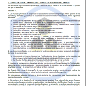 TEMA 29 INTENDENTE