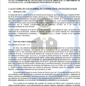 TEMA 30 INTENDENTE