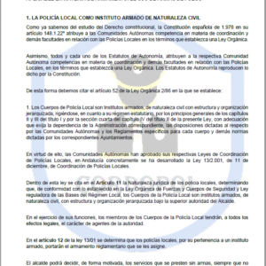 TEMA 33 INTENDENTE