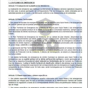 TEMA 38 INTENDENTE