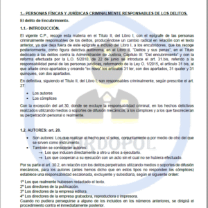 TEMA 41 INTENDENTE