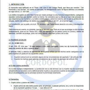 TEMA 45 INTENDENTE