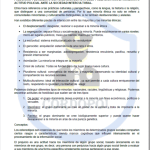 TEMA 74 INTENDENTE