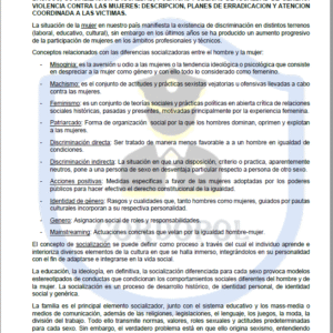 TEMA 75 INTENDENTE