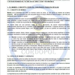 TEMA 78 INTENDENTE