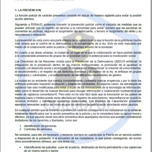 TEMA 88 INTENDENTE