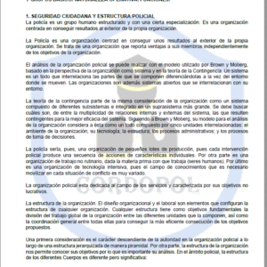 TEMA 89 INTENDENTE